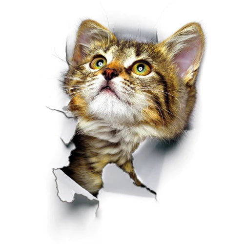 Chaton mignon aux yeux verts regardant à travers un trou déchiré dans le papier