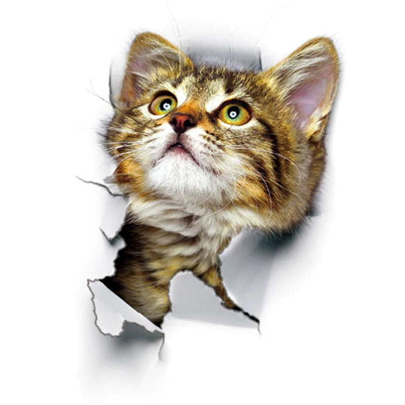 Chaton mignon regardant à travers un trou déchiré, autocollant mural 3D effet réaliste