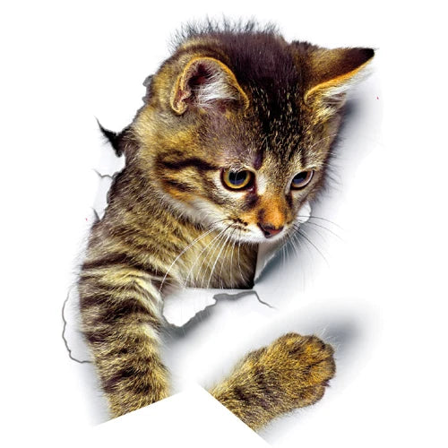 Chaton tigré mignon sortant d'un trou dans le papier, regard curieux