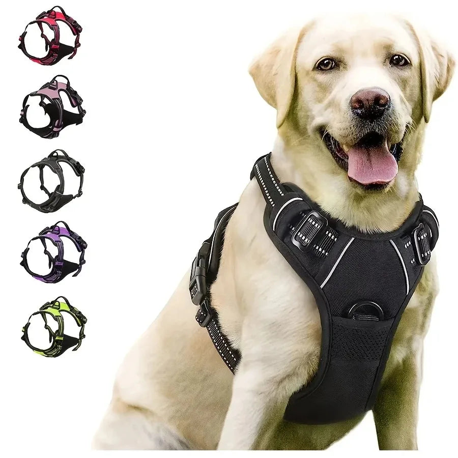 Harnais de chien ajustable avec poche, disponible en plusieurs couleurs pour promenade en toute sécurité