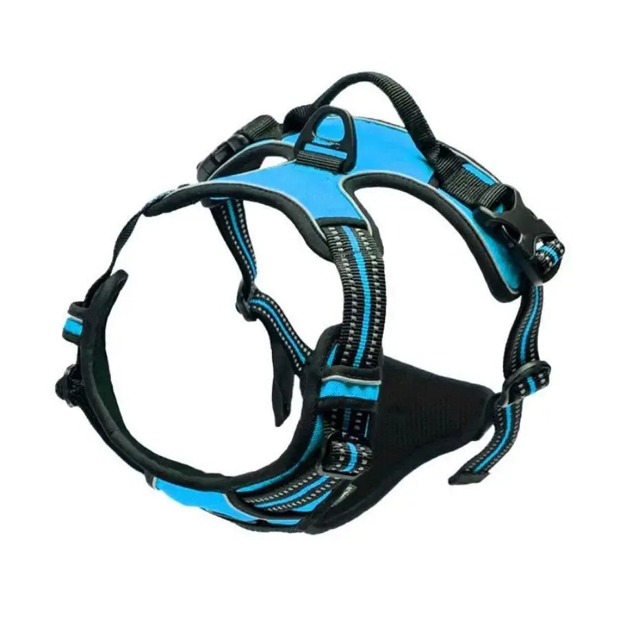 Harnais ajustable bleu et noir pour chien, confortable et résistant, idéal pour promenade et voyage