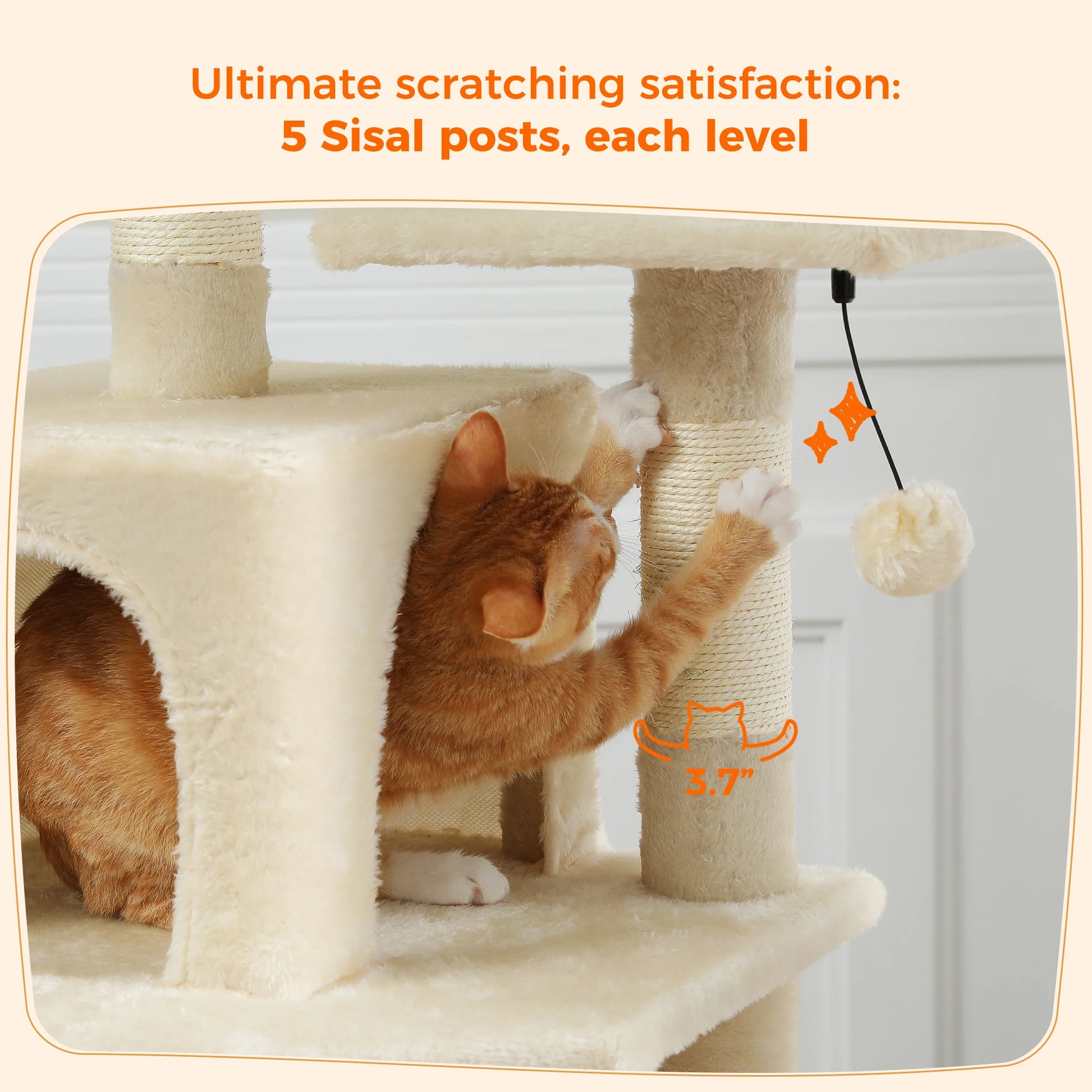 Chat roux griffant un arbre à chat avec poteaux en sisal, plateforme douce et jouet suspendu