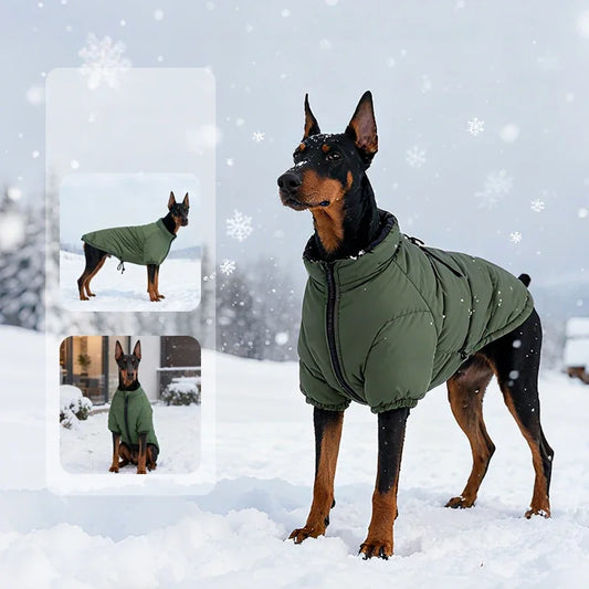 Manteau d'hiver pour chien Doberman, imperméable et chaud, idéal pour la neige