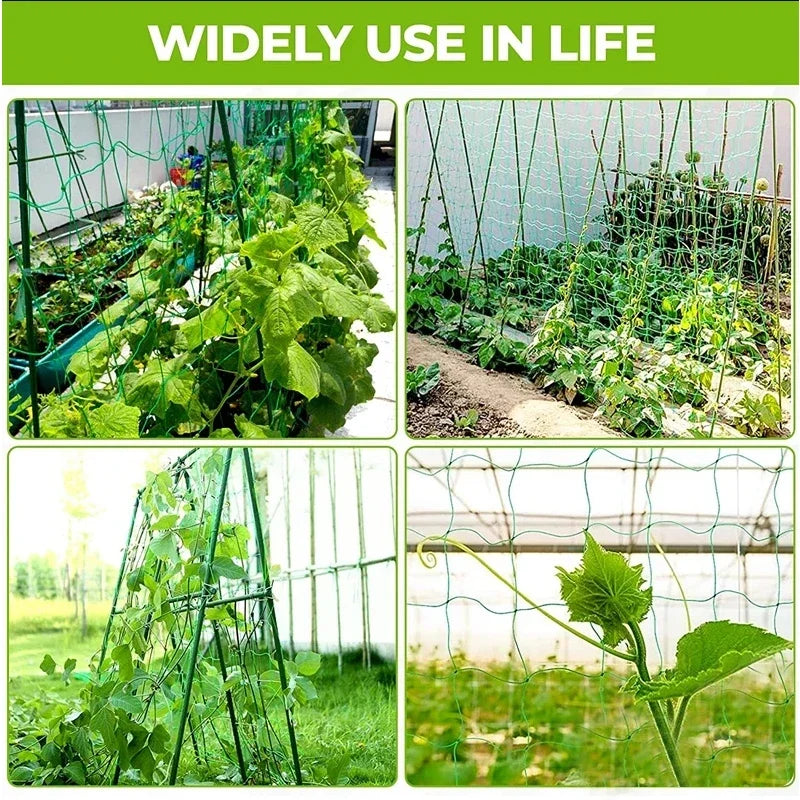 Filet d'escalade de jardin robuste – Tralier en nylon résistant aux UV pour concombre, luffa et fleurs