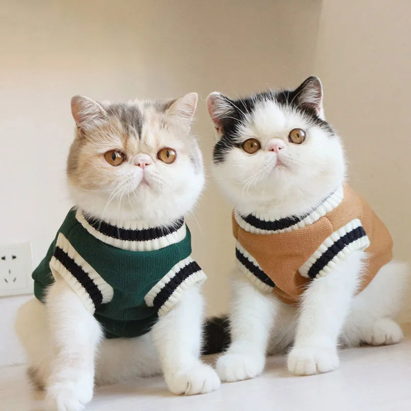 Pull d'hiver pour animal de compagnie, veste pour chien et chat, veste pour chiot, Costume Ubranka Dla Psa
