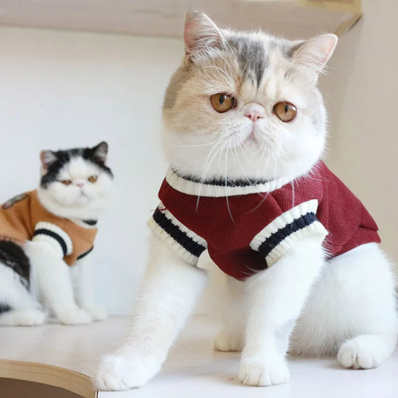 Pull d'hiver pour animal de compagnie, veste pour chien et chat, veste pour chiot, Costume Ubranka Dla Psa