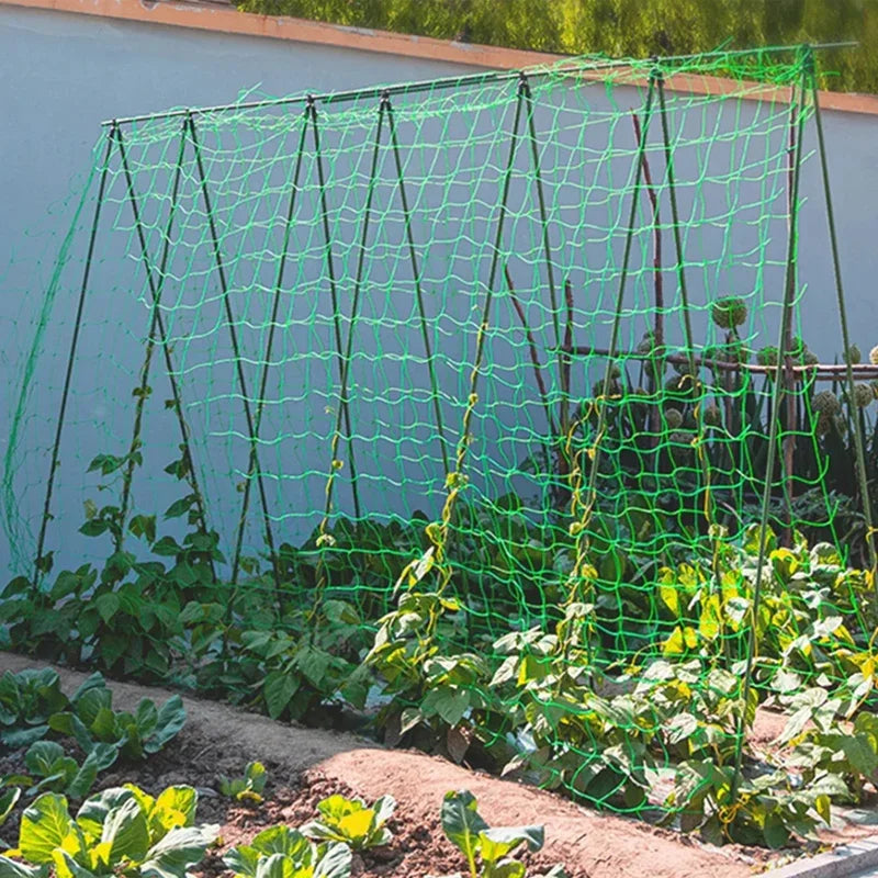 Filet d'escalade de jardin robuste – Tralier en nylon résistant aux UV pour concombre, luffa et fleurs