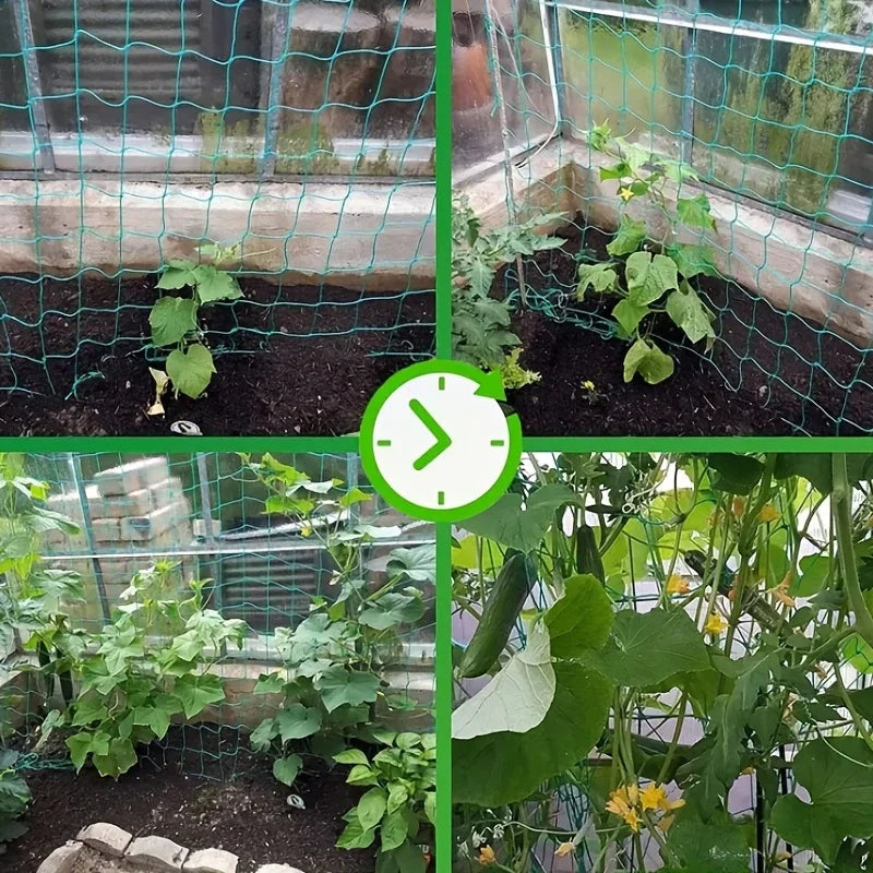Filet d'escalade de jardin robuste – Tralier en nylon résistant aux UV pour concombre, luffa et fleurs