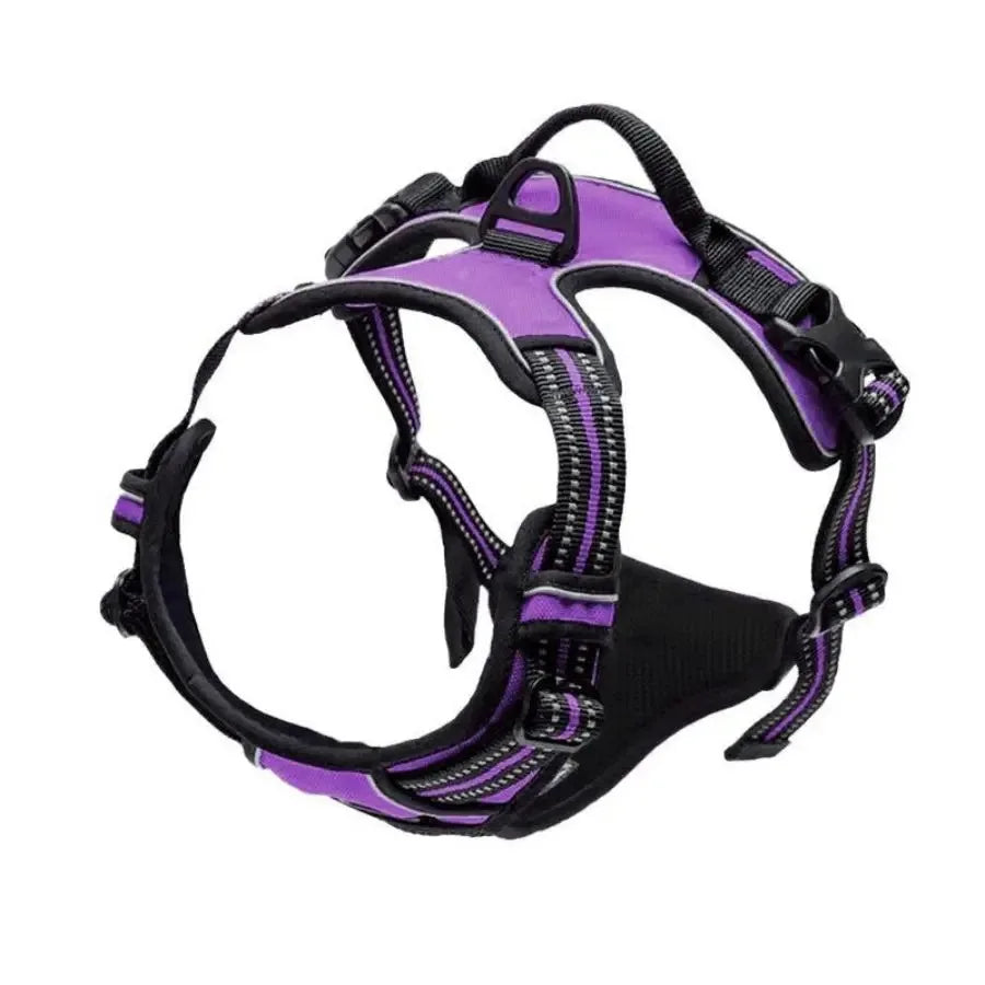 Harnais ajustable pour chien violet et noir, confortable et sécurisé pour promenade