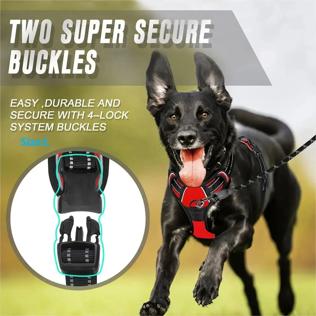 Harnais chien rouge et noir avec deux boucles sécurisées, système 4-locks, taille L, pour promenade en toute sécurité