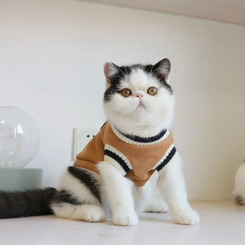 Pull d'hiver pour animal de compagnie, veste pour chien et chat, veste pour chiot, Costume Ubranka Dla Psa
