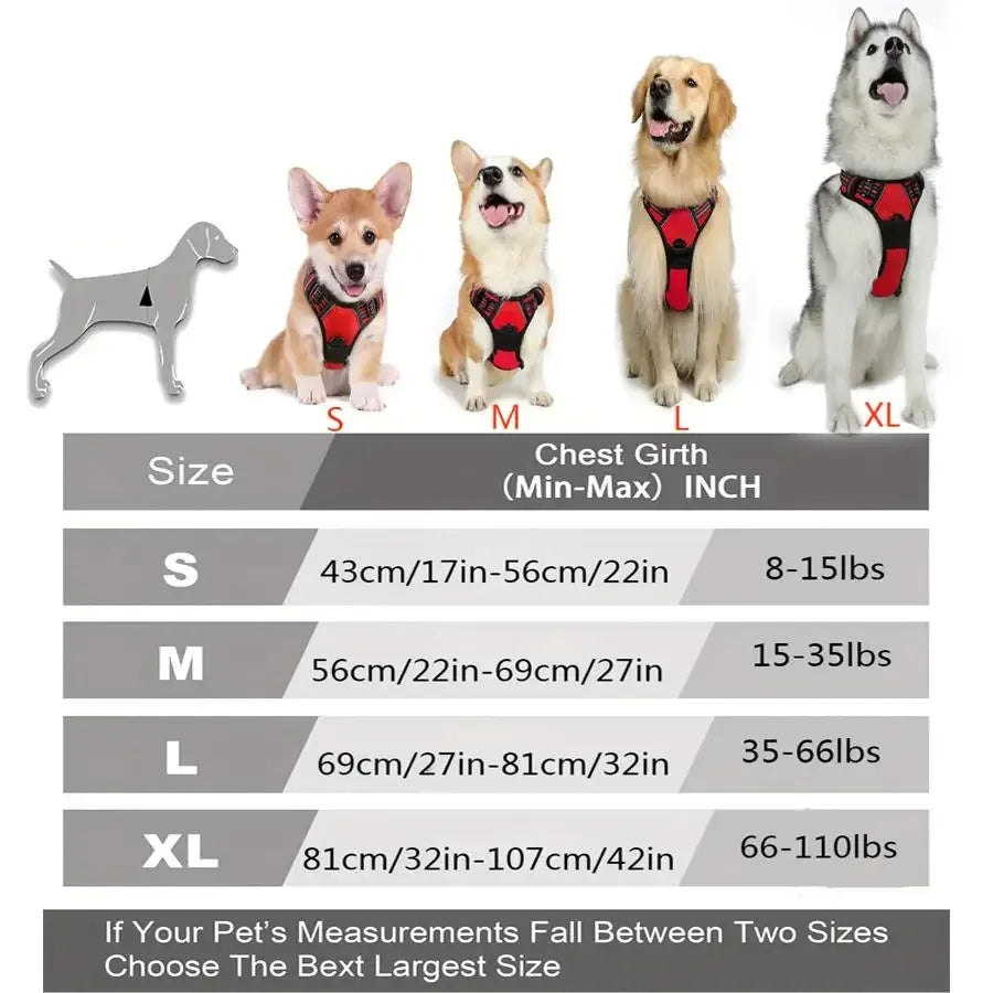 Harnais chien ajustable pour petits à grands chiens, tailles S à XL, mesure poitrine en cm/pouces