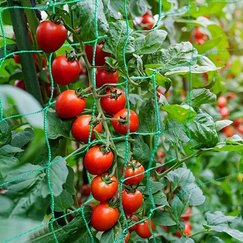 Filet d'escalade de jardin robuste – Tralier en nylon résistant aux UV pour concombre, luffa et fleurs