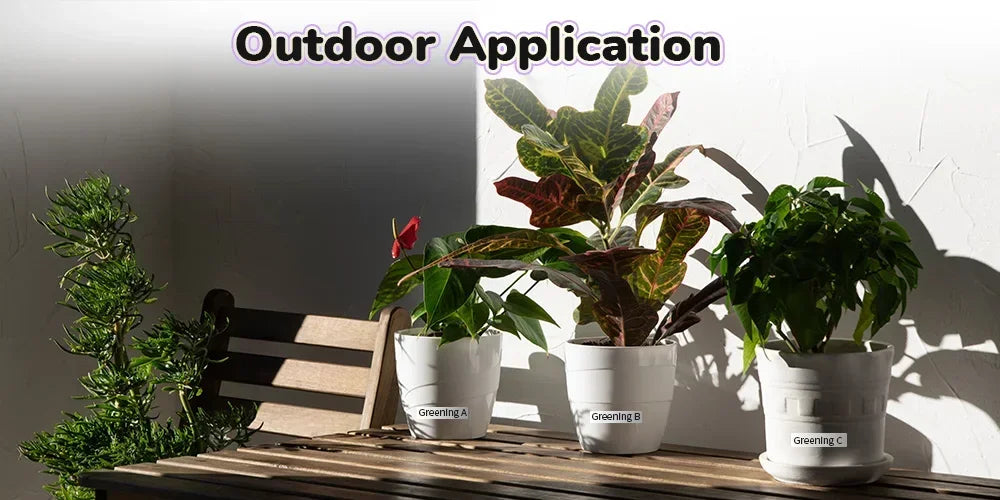 Plantes d'intérieur en pots blancs pour usage extérieur, idéales pour balcon ou terrasse