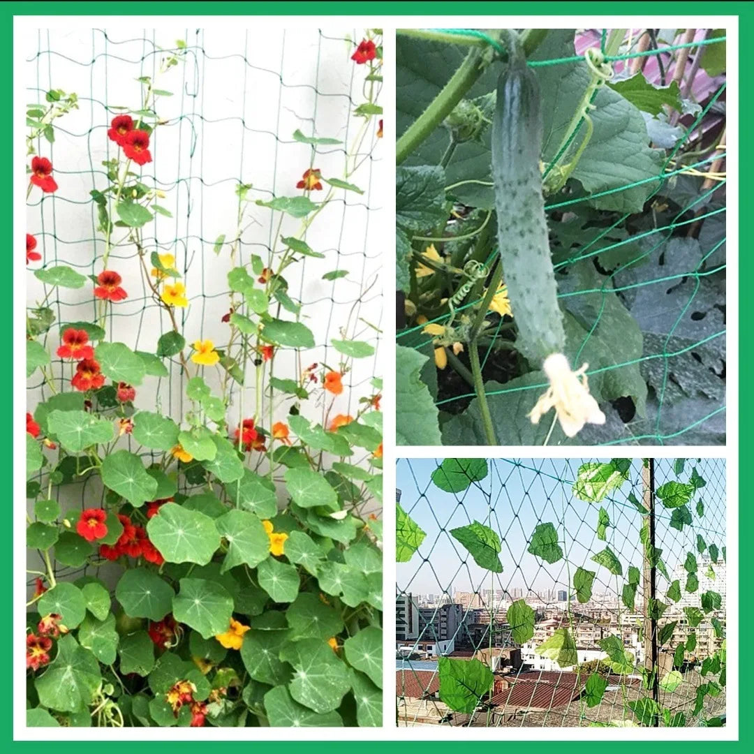 Filet d'escalade de jardin robuste – Tralier en nylon résistant aux UV pour concombre, luffa et fleurs