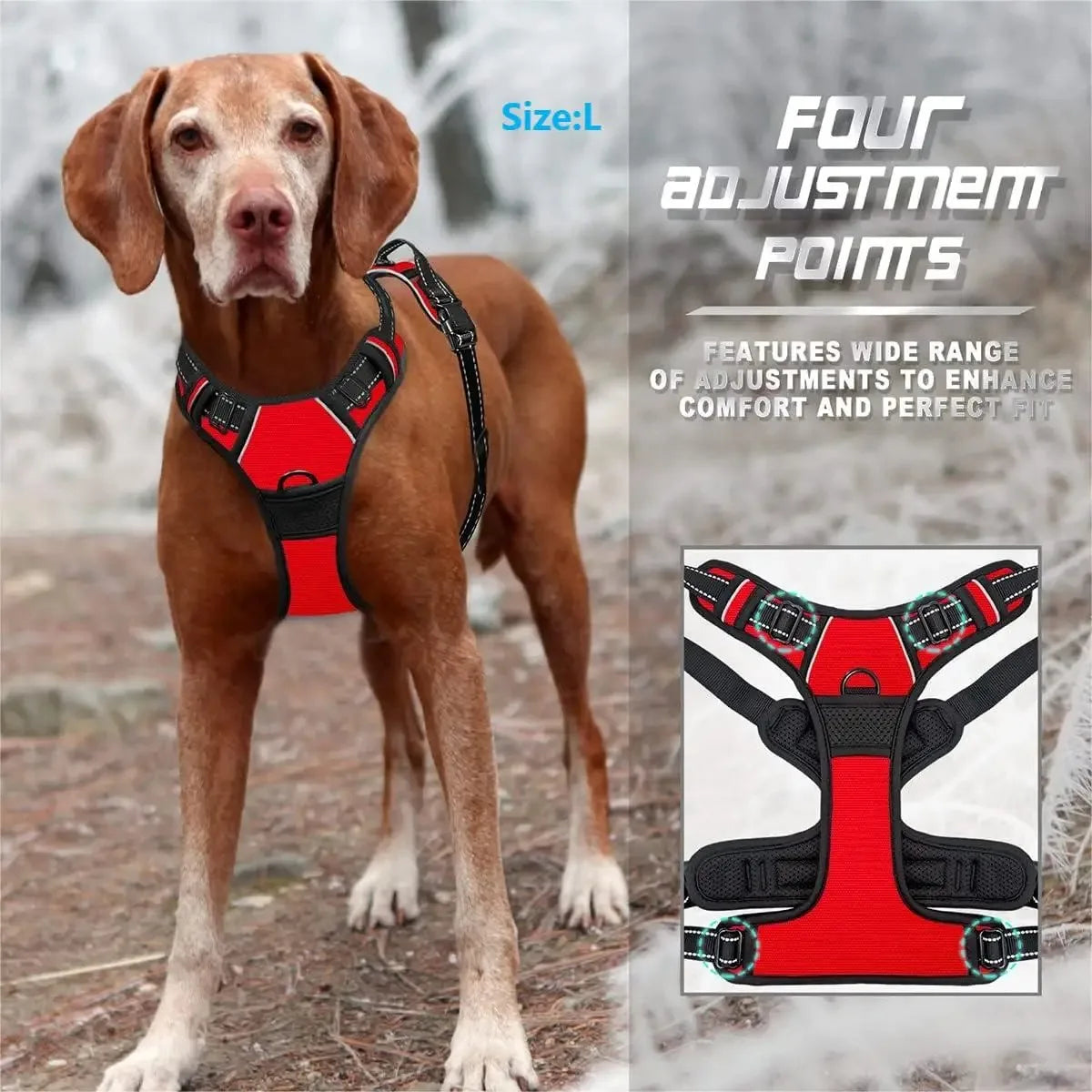 Harnais chien rouge et noir taille L avec 4 points d'ajustement pour confort et maintien optimal